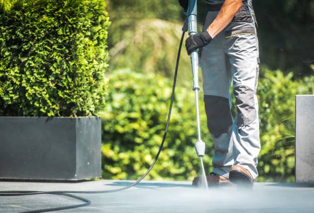 Best Pre-Holiday Cleaning  in Murphys, CA